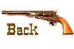 Back Gun